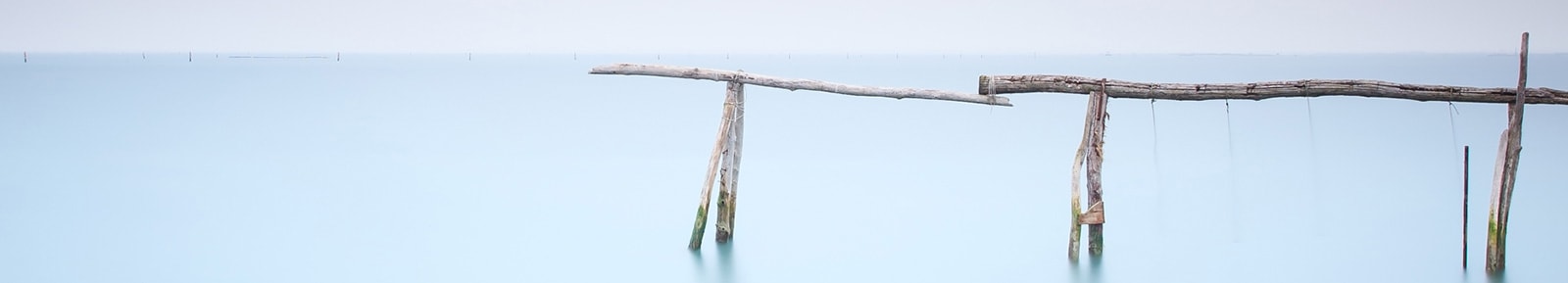 _ALT_PHOTOLIFE_